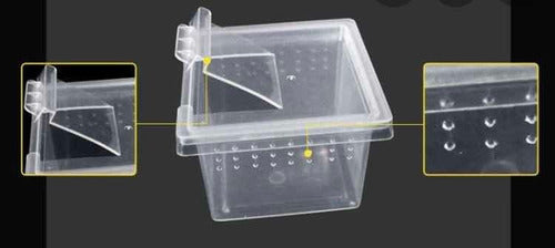 Mini Plastic Box for Spiderlings Tarantulas x10 units 3