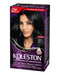 Kit Tinta Koleston 2/0 3