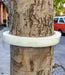 Ant Barrier for Trees 1m x 5 Strips 3