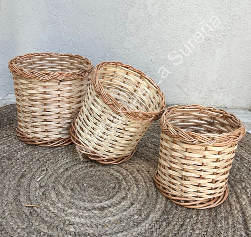 Wicker Planter 2