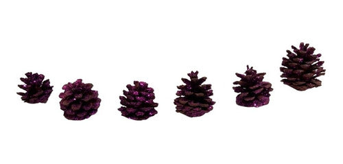 Organatic Set 6 Pineapple Enanas Naturales Curadas Decoradas Navidad Gabym 2