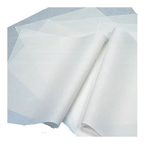 FEMA IyC Pure White Tissue Paper 50x70 500 Sheets 0