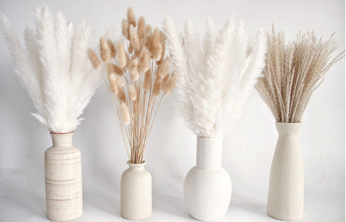 100 Natural Dried Pampas Grass Decor Set 43cm 1