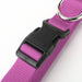 Nylon Collar and Leash Set for Dogs and Cats Various Sizes 46
