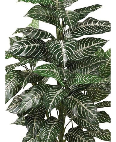 Nearly Natural Zebra Silk Plant 6542, 3 Feet, Green 0