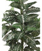 Nearly Natural Zebra Silk Plant 6542, 3 Feet, Green 0