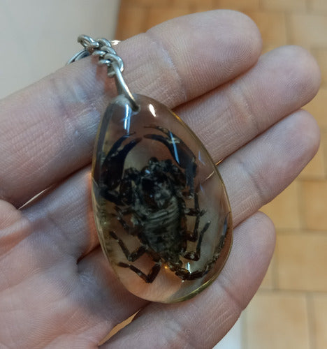 Natural Resin Insect Keychain 6