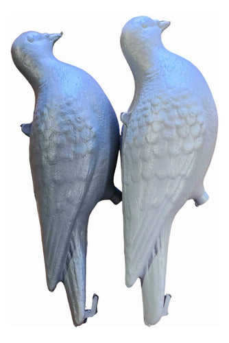 Clau Pigeon Decoy for Hunting 2