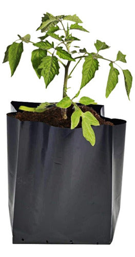 Polietileno Obelisco Black Nylon Pots 1.0 Liters - Nursery Agro Garden 0