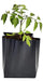 Polietileno Obelisco Black Nylon Pots 1.0 Liters - Nursery Agro Garden 0