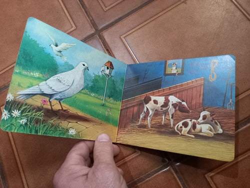 Antiguo Librito Con Fotos De Animales + Rana Alemana 3