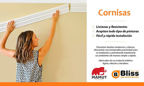 Mamut Moldura Cornisa Telgopor Techo Pared BF 50 3