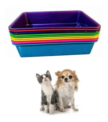 Kit Cat Litter Tray and Braided Pet Toy Ball 2