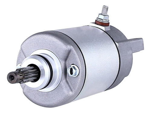 DZE Starter Motor For Honda Fourtrax TRX 300 1988-2000 1