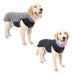 Ropa Para Perro 69cm 3xl Dif. Colores Mas Envio 2