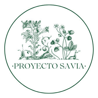 PROYECTO SAVIA Orégano - Organic Seedlings - Aromatic - Garden 1