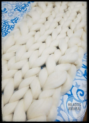 XXL Merino Wool Roving 500 Grams - Hilados Amaral 3