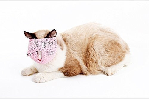 Zoopolr Breathable Mesh Cat Muzzle to Prevent Biting 4