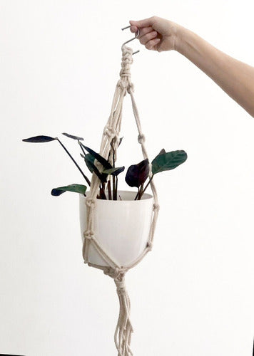 Uli Uli Deco Hanging Macrame Planter 65cm Cotton Rope 3