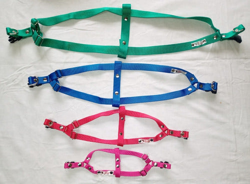 Luna Accesorios 4 Adjustable Harnesses for Dogs 0