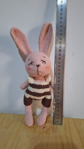 Amigurumi Coneja Tejida A Crochet - Muñeco De Apego 1