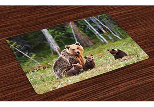 Lunarable Nature Place Mats Conjunto De 4 Madre Salvaje Oso 0