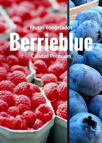 BerrieBlue Mix De Frutos Rojos Del Bosque Iqf Premium Especial 2