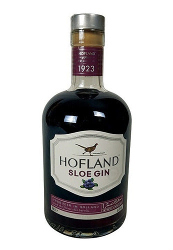 Hofland Gin Sloe Exclusivo 1