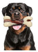 Indestructible Chew Toys for Dogs - Tikaton Beef Flavor 0