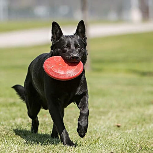 Kong Flyer - Juguete Duradero Para Perros Para 1