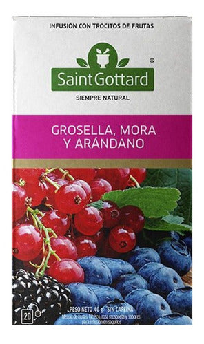 Pack X 6 Tisana Frutas Grosella, Mora Y Aranda Saint Gottard 1