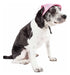 Pet Life Sea Spot Sun Protector Ultra Violet Adjustable Dog Hat 3