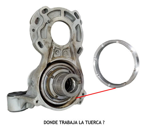 Tuerca Rodamiento Dirección Eléctrica Focus III 3