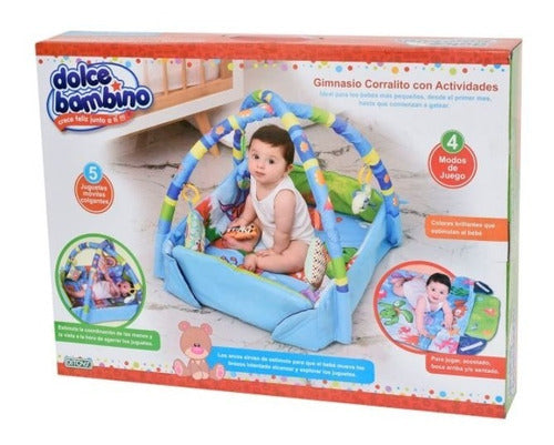 Ditoys Gym Playpen with Activities Dolce Bambino 2017 0