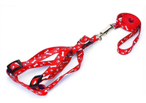 Adjustable Harness and Leash Set for Small Pets 1