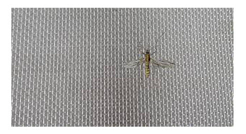 Tejido Chispero O Mosquitero De Metal 1,40 X 1,20m 0