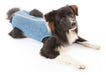 Zoolutions Post-Surgery Clothing for Male Dogs 0.5 - 4.5 Kg 0