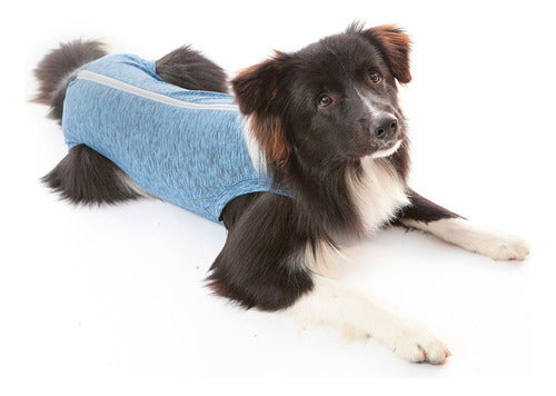 Zoolutions Post-Surgery Clothing for Male Dogs 0.5 - 4.5 Kg 0