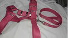 Reinforced Nato Harness for Large Breed Dogs with Leash 6