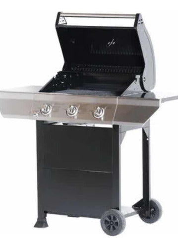 Bosca Eco Grill Gas Grill 5