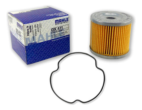 Filtro Aceite Suzuki Gs 500 E Mahle Ryd 0