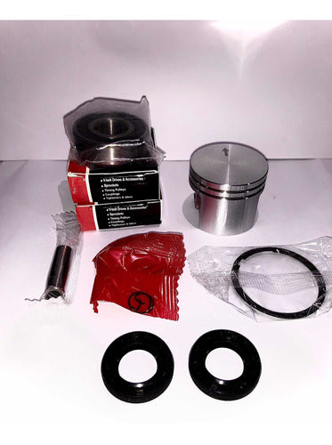 Motosie Stihl Ms170 Piston Kit + Seals + Bearings + Diaphragm 1