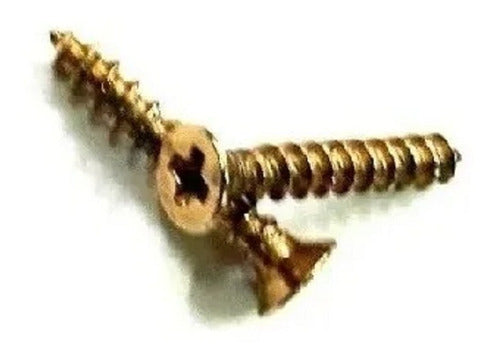 Fleb Fix Screws for Wood 4 X 30 X 1000 U 0