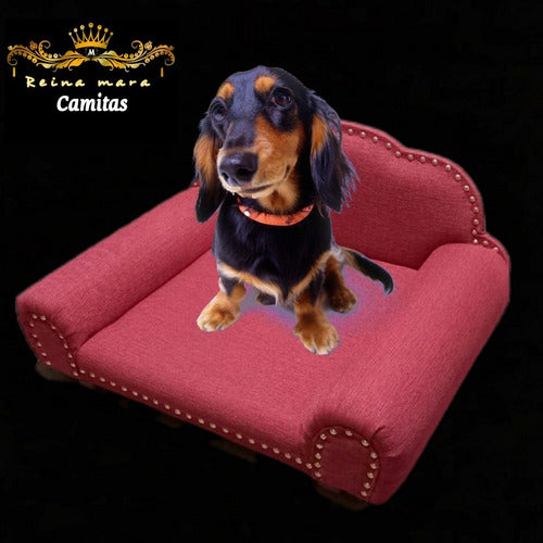 Reina Mara Pet Bed/Chair 5