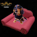 Reina Mara Pet Bed/Chair 5