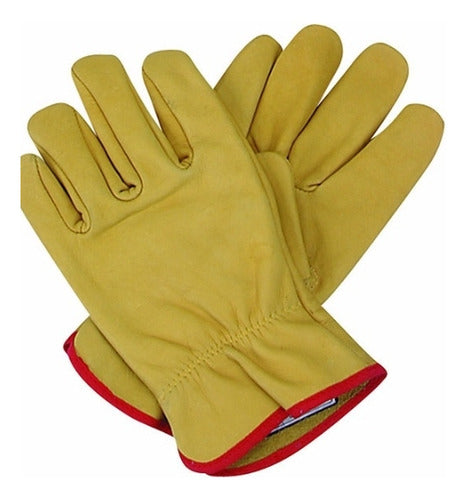 Flexicuer Leather Gloves Pack of 12 0