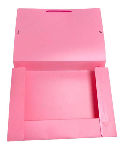 Plastic File Box Folder with 4 cm Spine, Legal Size 3