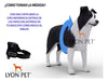 Lyon Pet Ergonomic Harness and Max Resistance Padded Leash 2