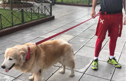 Cinturon Para Pasear Y Correr Con El Perro 4