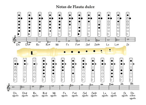 Ivory School Music World Soprano Recorder Flute AN6240 6